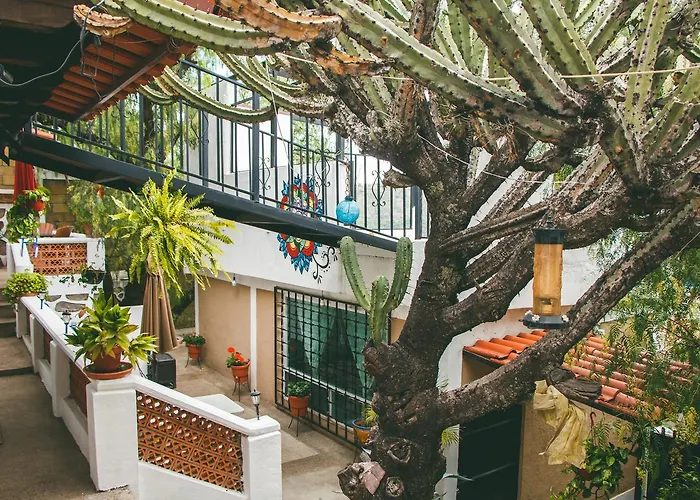 Las Enredaderas Guanajuato