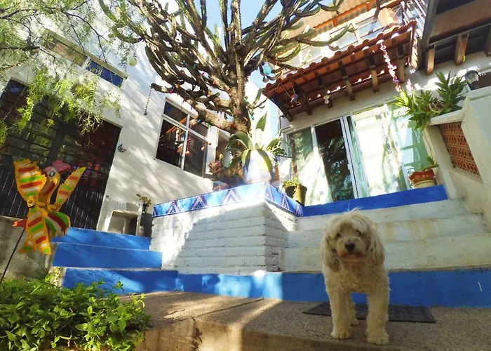 Las Enredaderas Guanajuato